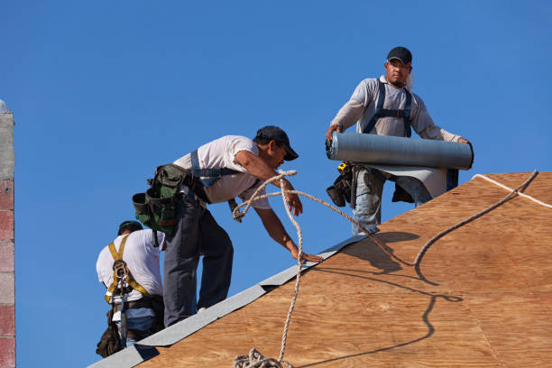 Best Roof Maintenance Services  in Hahnville, LA