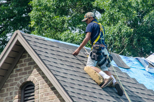 Best New Roof Installation  in Hahnville, LA